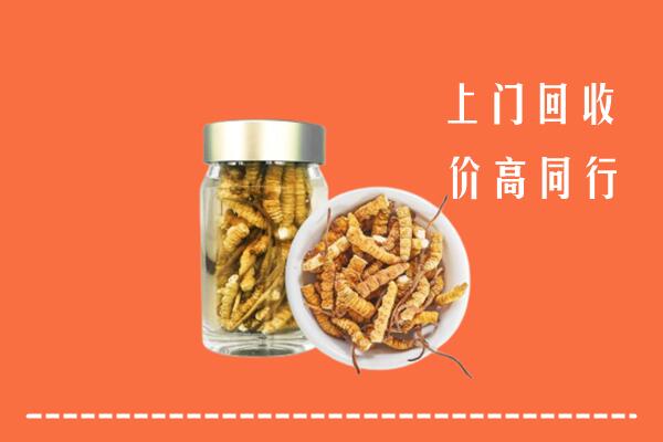 兴安盟高价回收冬虫夏草